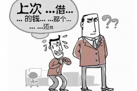 沛县企业清欠服务